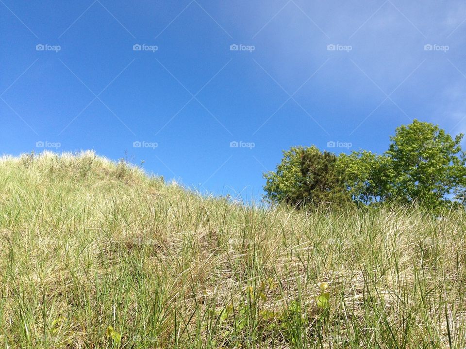 Lakeside in Michigan