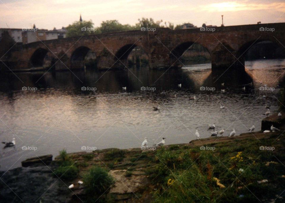 Peaceful riverside view 