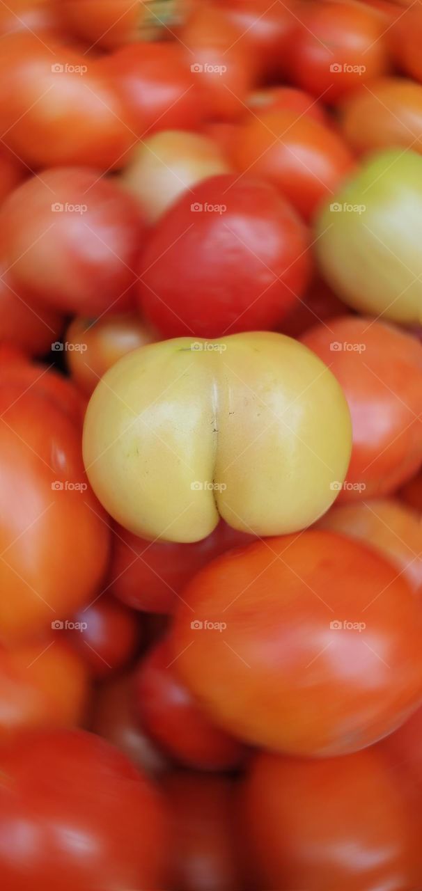 Just an odd tomato 🙂