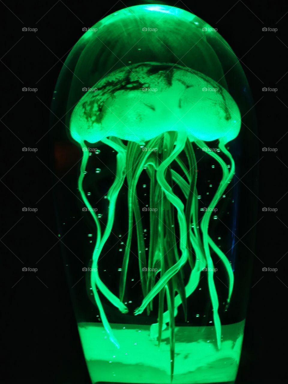 Bioluminescent Jellyfish
