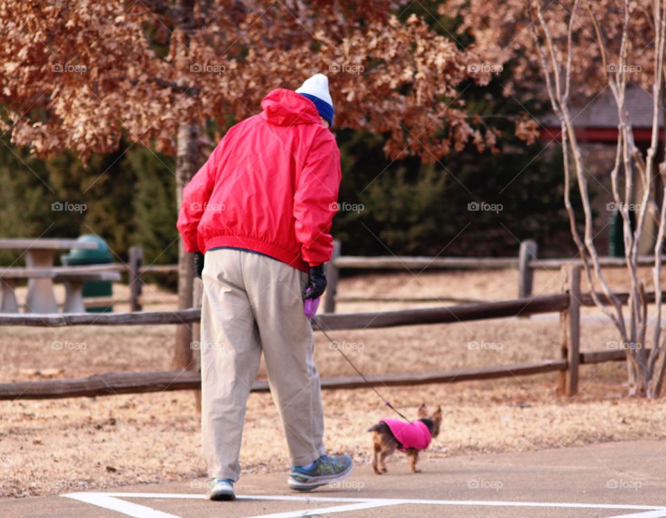 Elderly Man Walking Tiny Dog in Pink Sweater