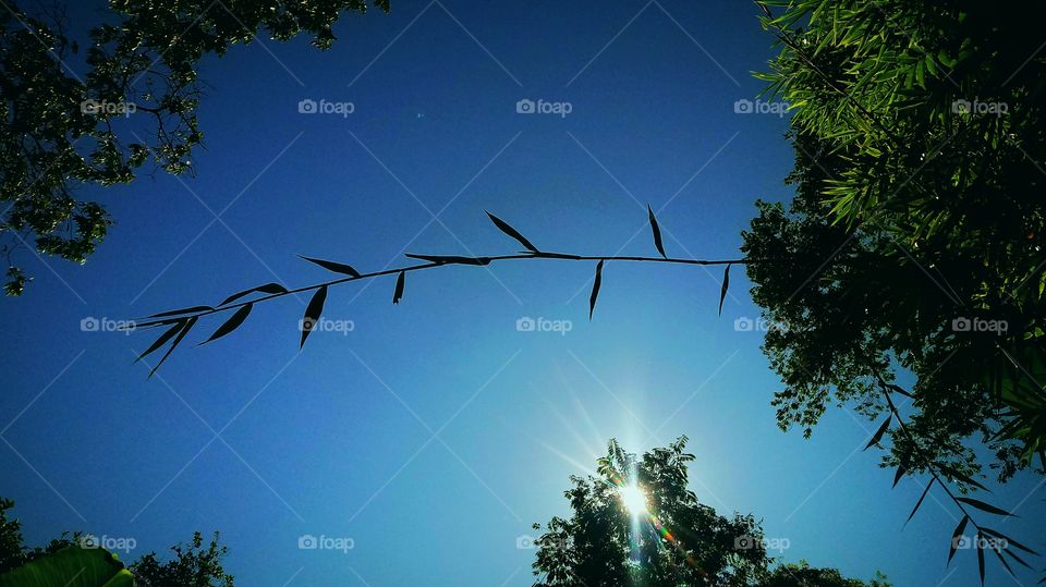 Walking through in the countryside