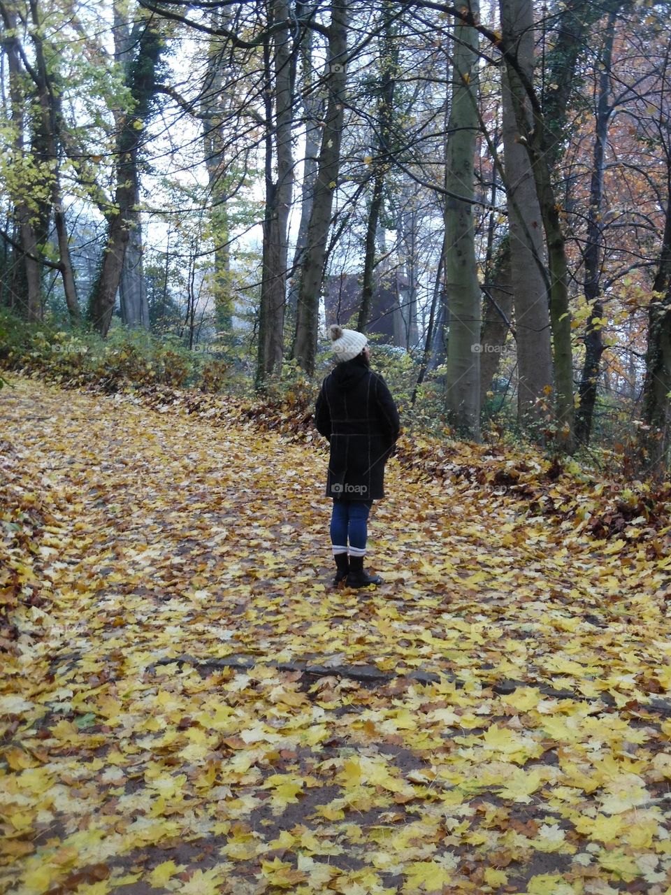Parc de Mariemont , la Louvière