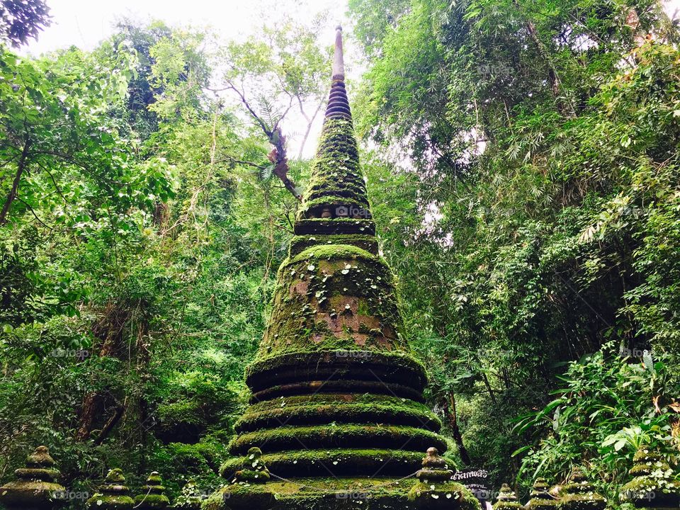 Ancient pagoda with moss in the forest