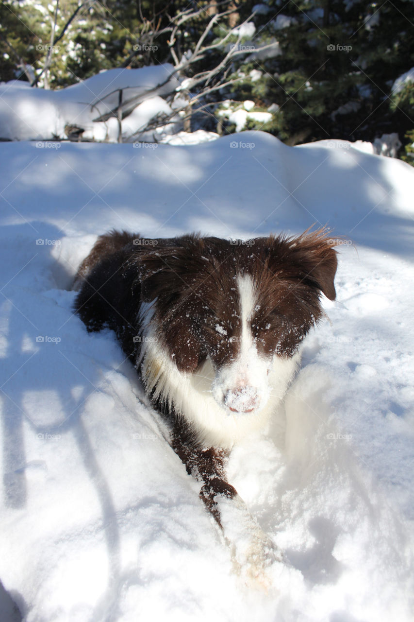 Can’t see any of the haters with all the snow in my eyes