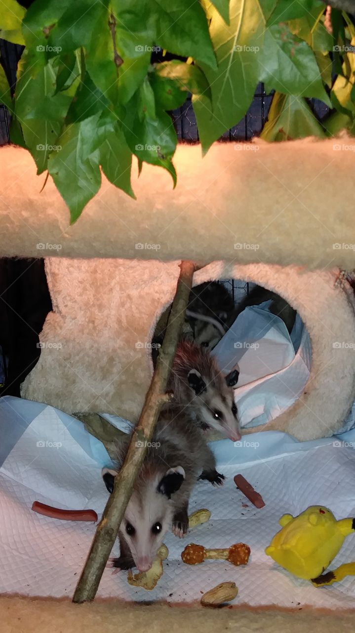 looking back how little they were!