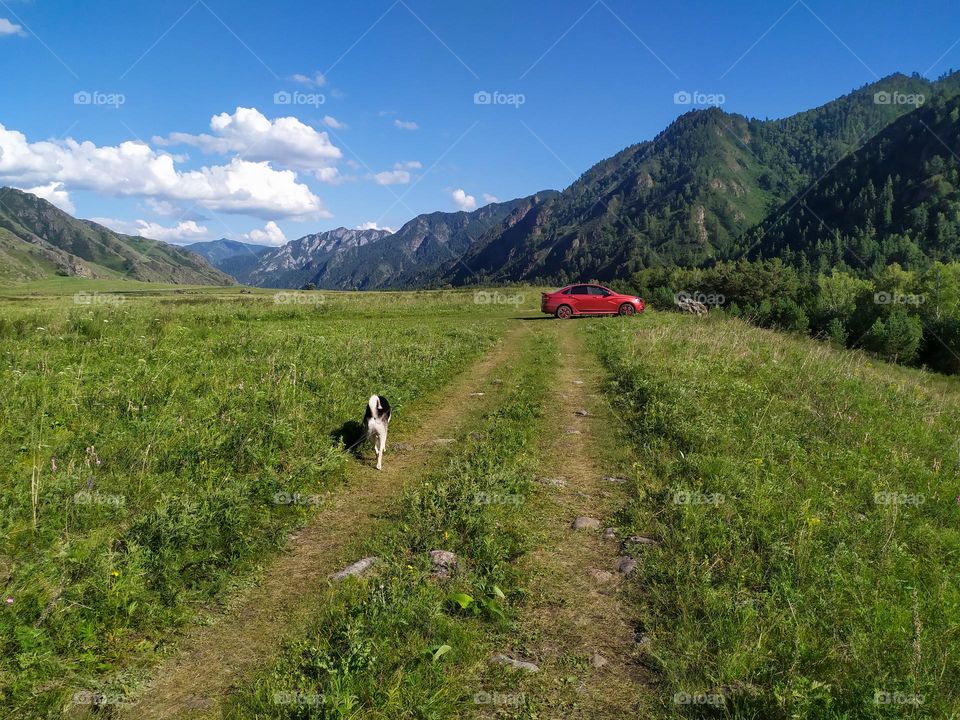 Altai landscape