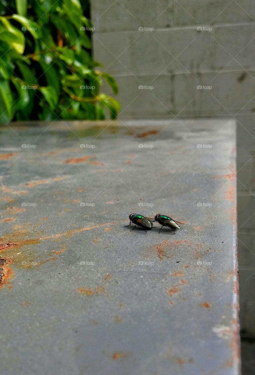 nature taking its course