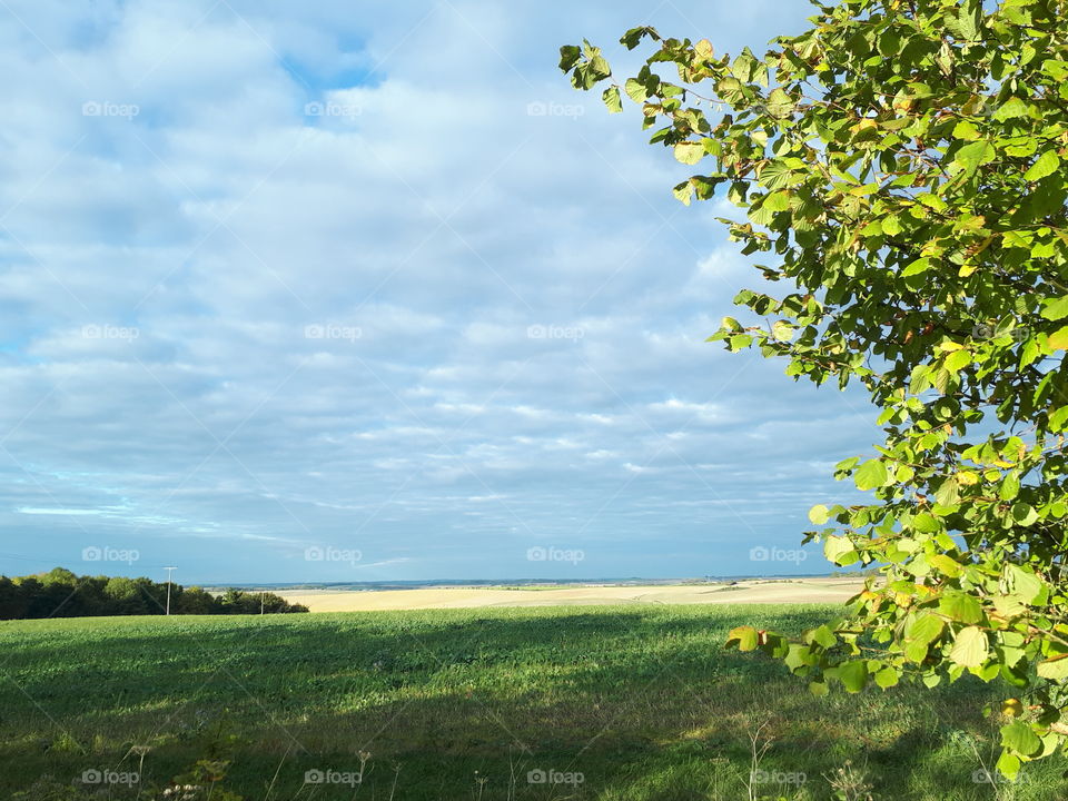 Nature, Landscape, Summer, No Person, Rural