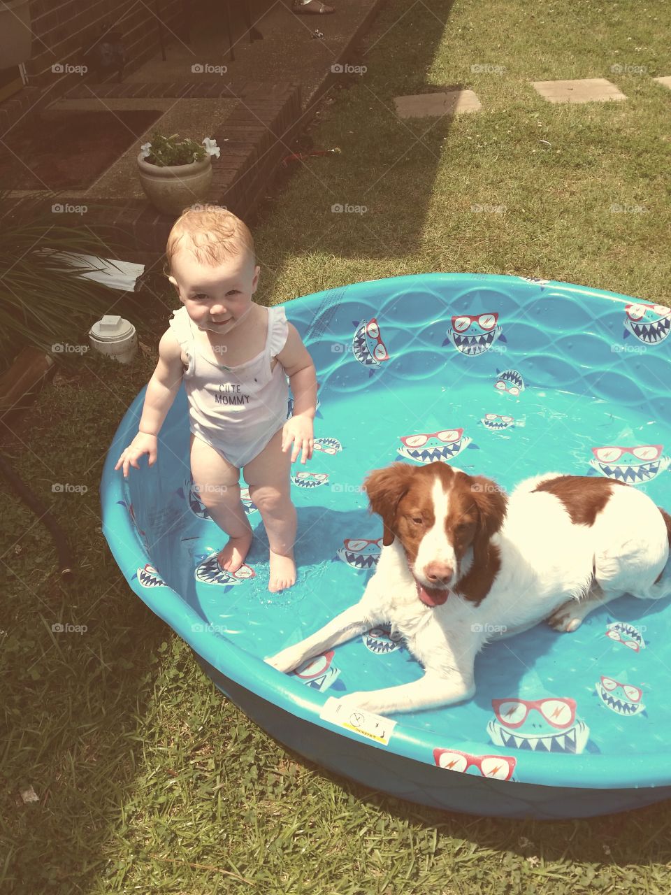 pooling off. my 5 year old brittany decided to join my 15 month old for a swim