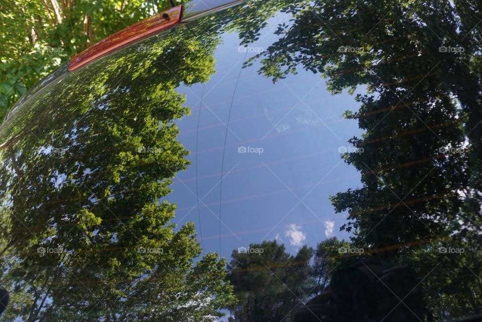 Car#window#nature