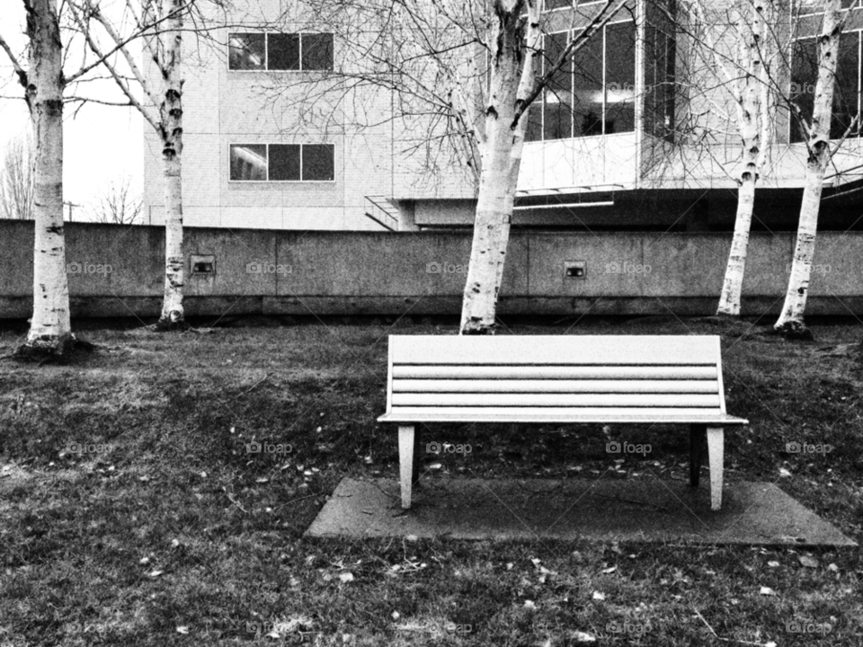 trees architecture bench lonely by vesparado