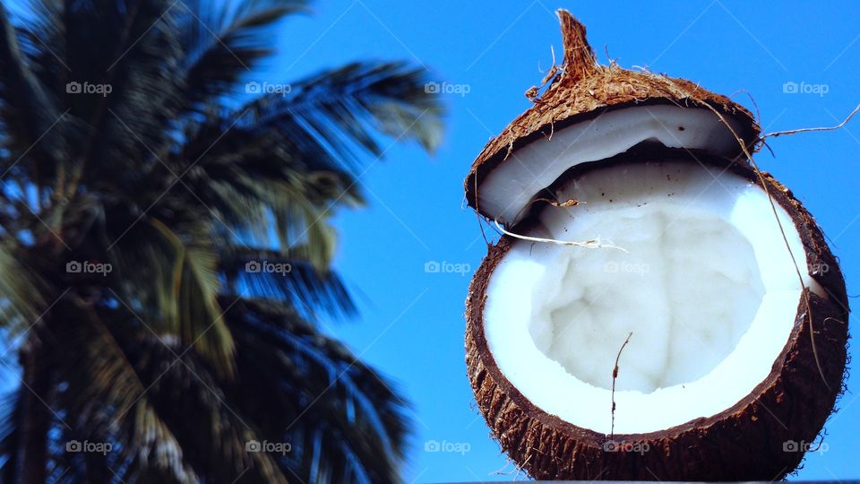 Exotic fruit  - Coconut