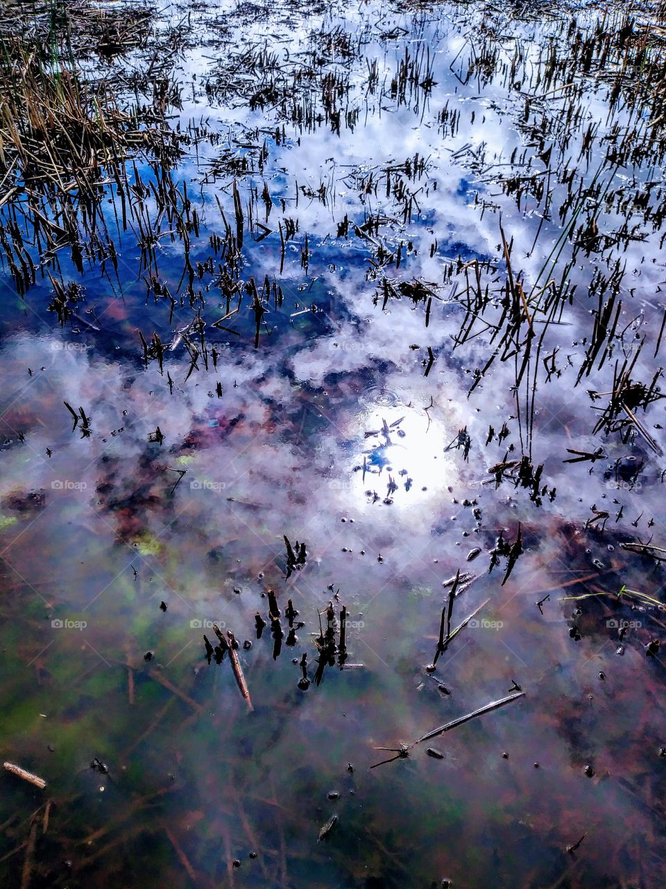 sun and clouds reflecting off the flood waters of californian wetlands