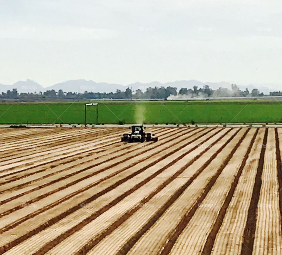 Tractor on field 