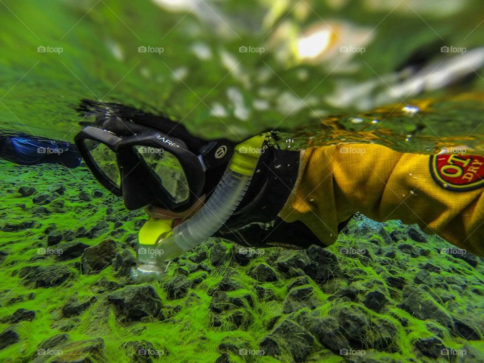 Underwater, Water, Nature, No Person, Outdoors