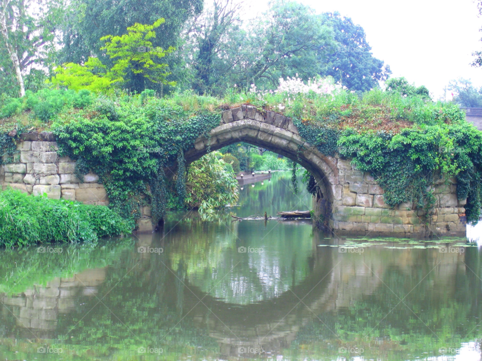 Water, Bridge, River, Nature, Landscape
