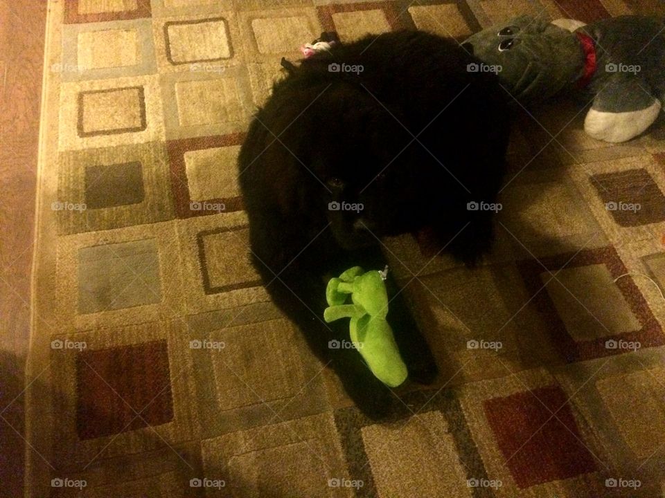 Indoors, Floor, People, No Person, Desktop