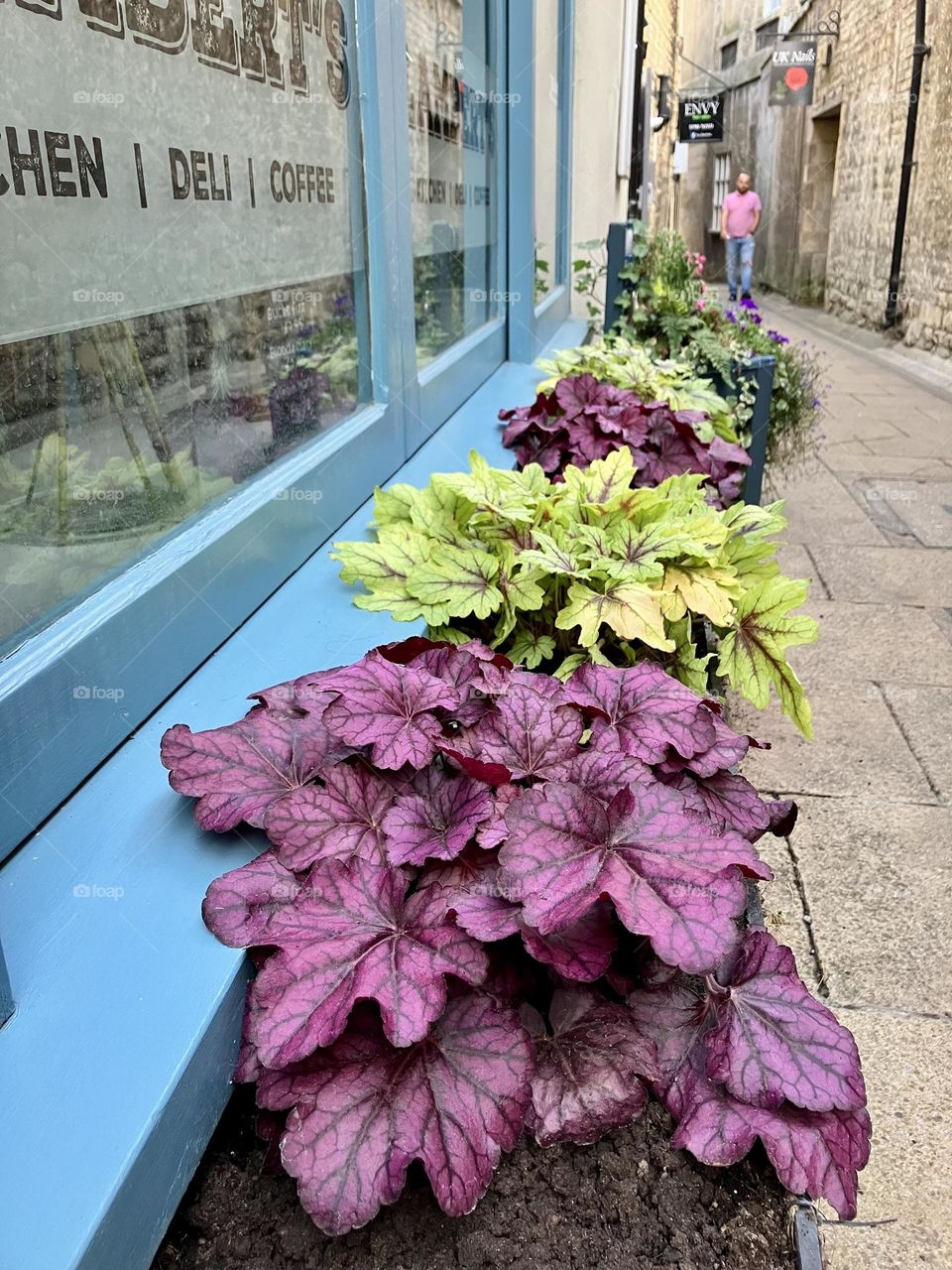 Pretty street flowers 