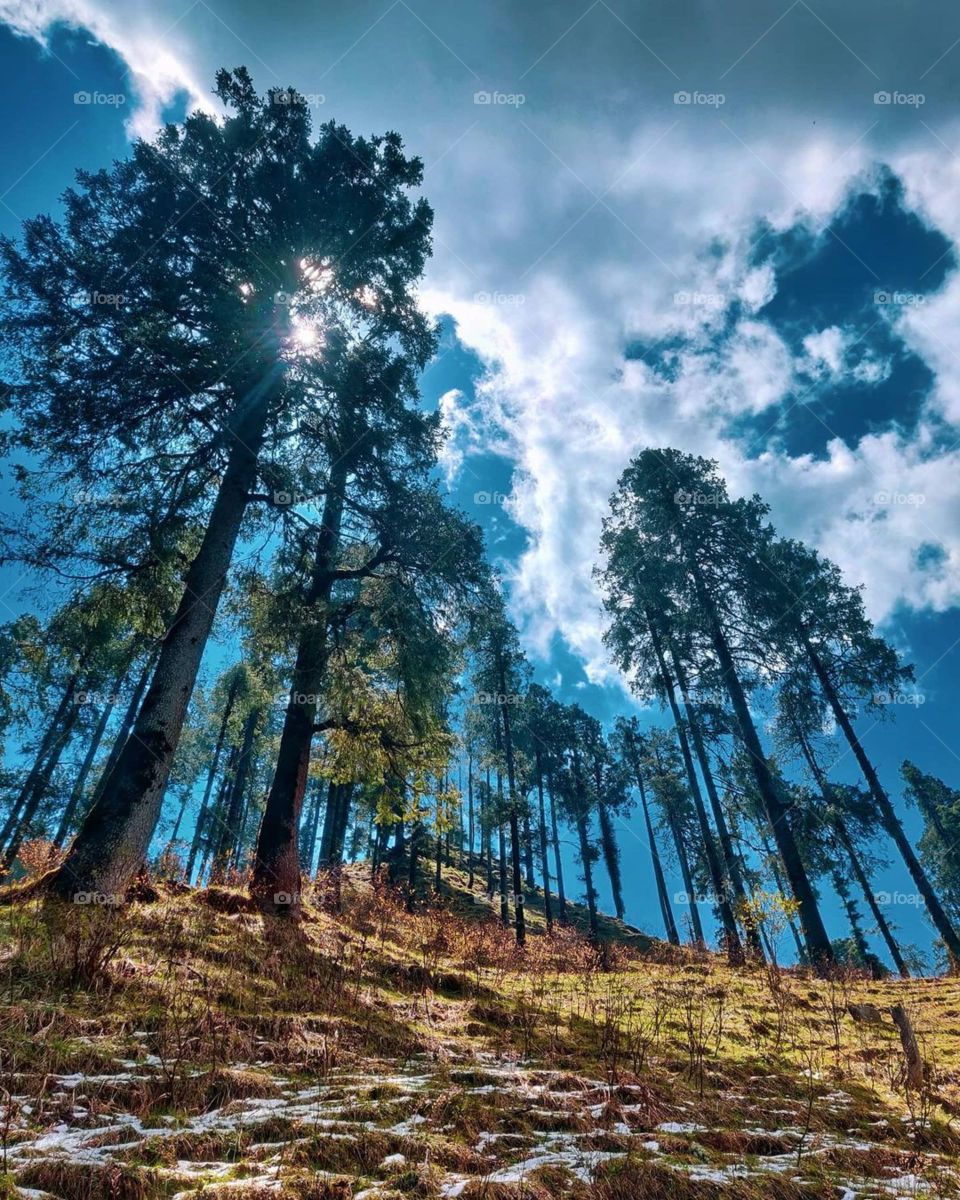 The clearest way into the Universe is through a forest wilderness.”