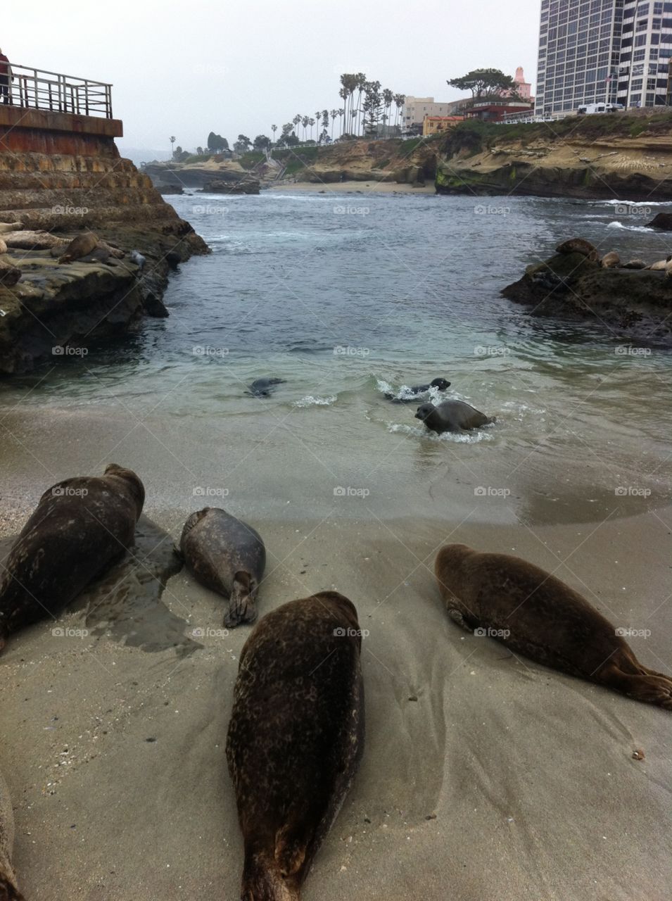 Water, No Person, Seashore, Sea, Ocean