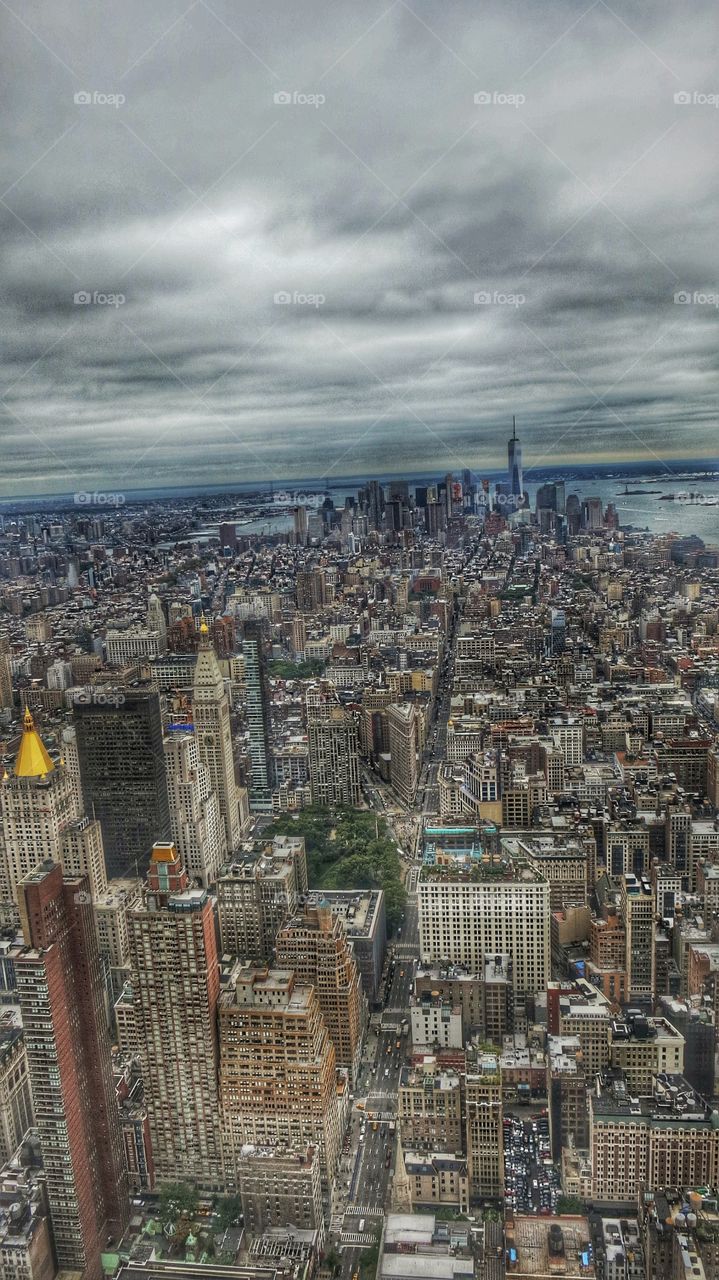 The view of New York skyline from the top of the Empire State Building. 
