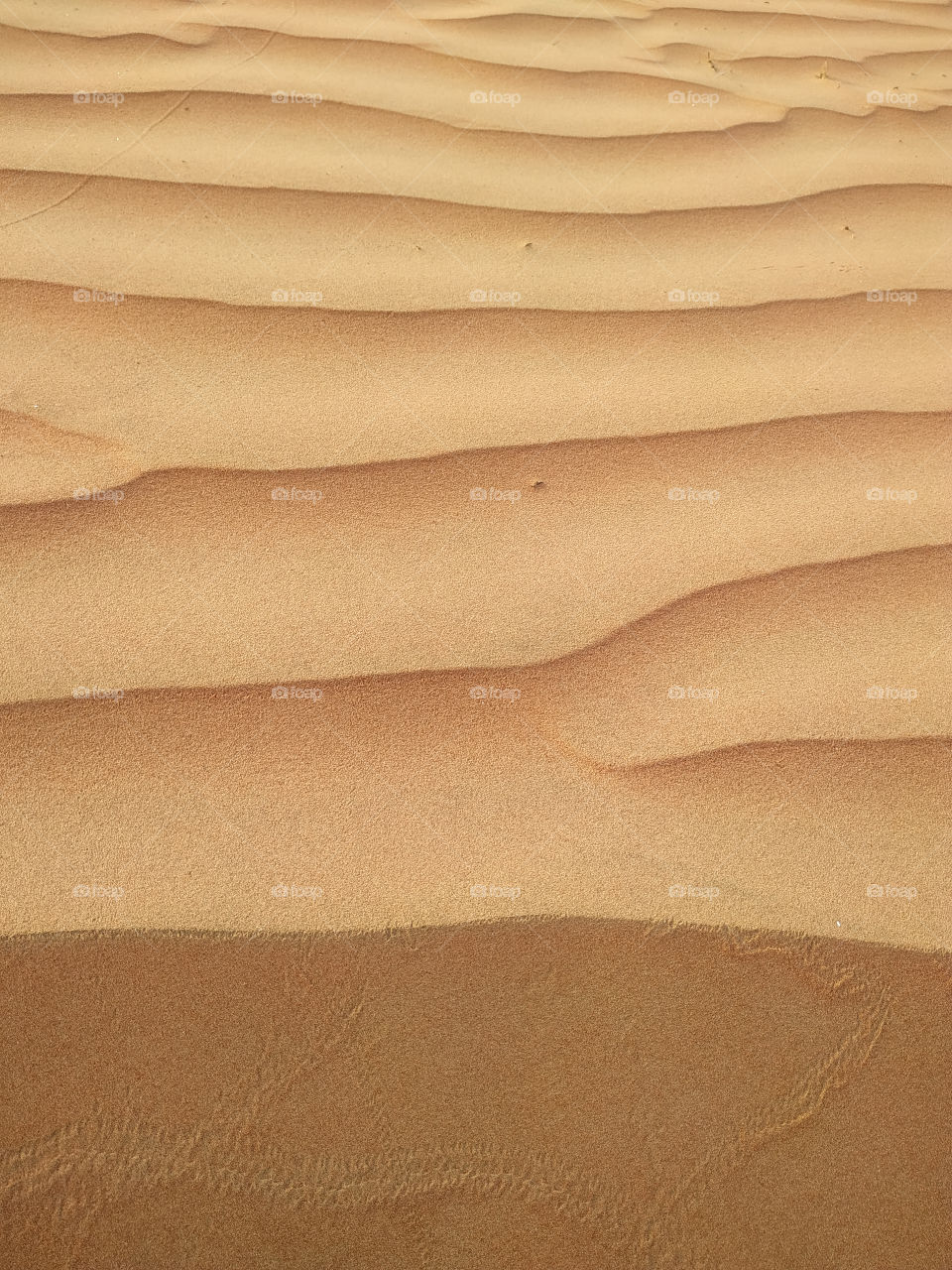 A closeup of sand dune texture