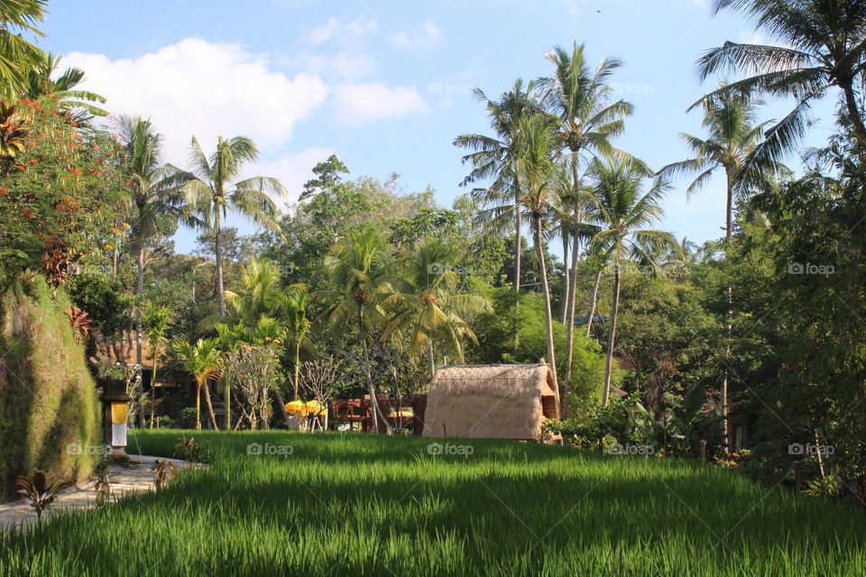 Somewhere in Ubud resort countryside of Bali island 