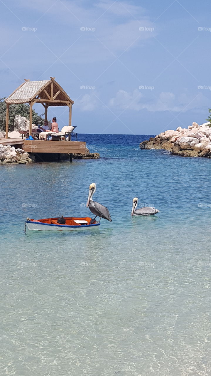 Baoase Luxury Resort in Curacao