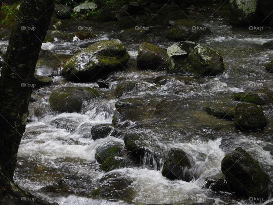river flowing over stones