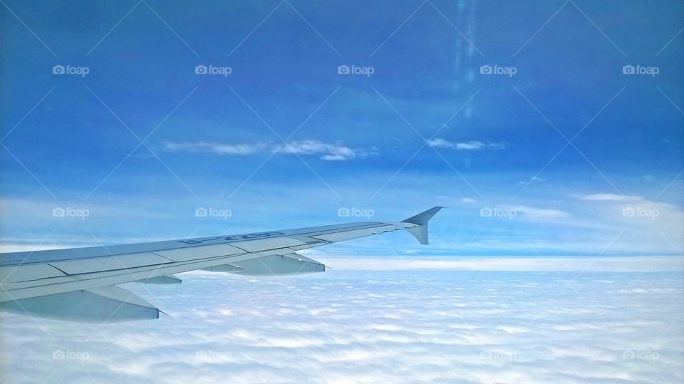 plan wing on the sky