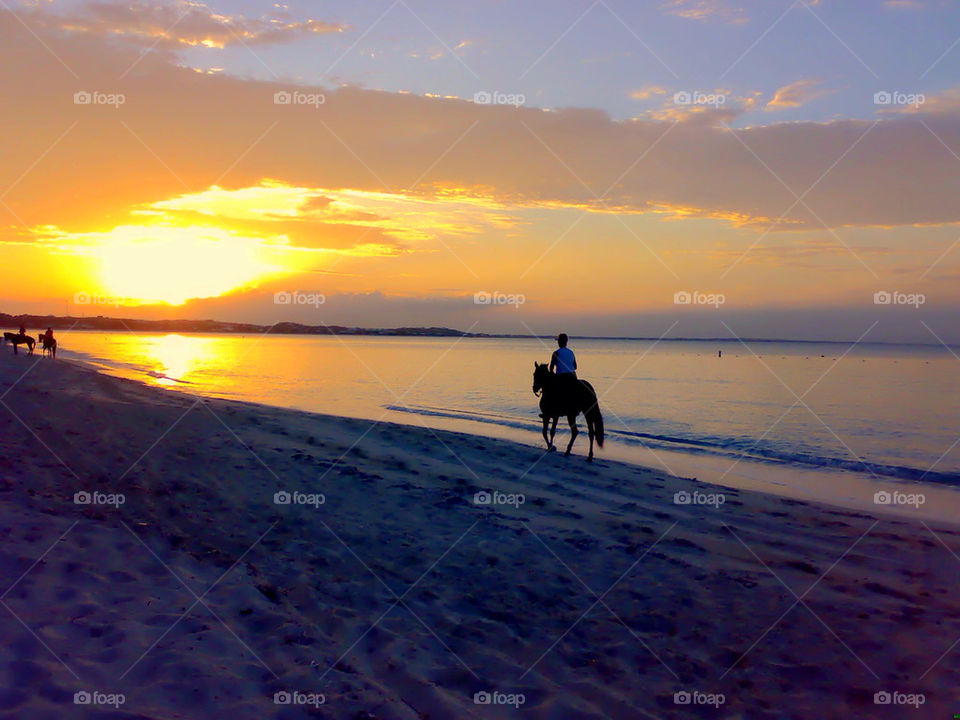 Horse on beach . Person riding a horse on a beach in Bahamas 