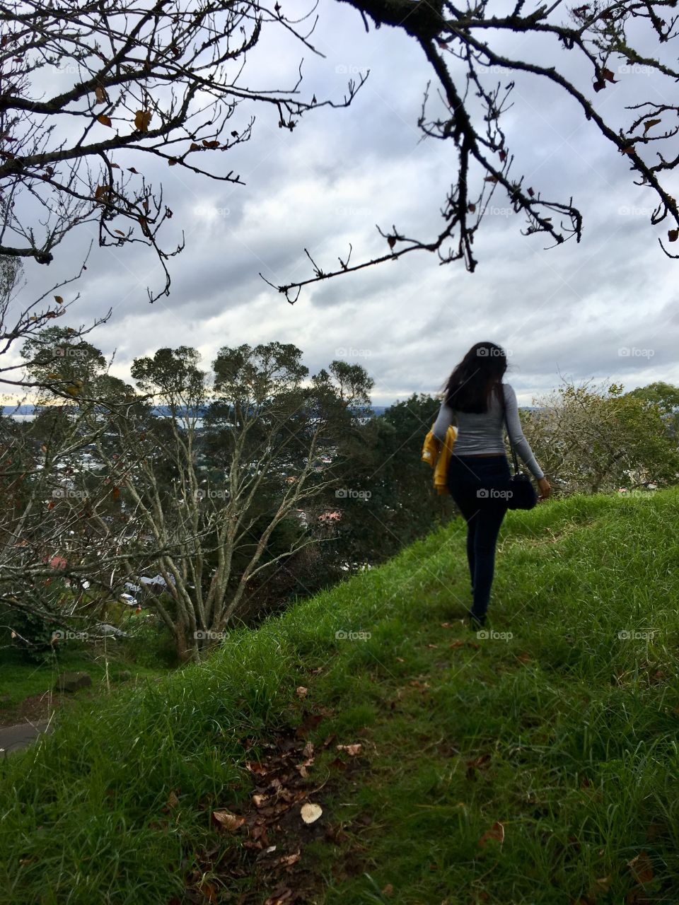 On the Mt. Albert Auckland 