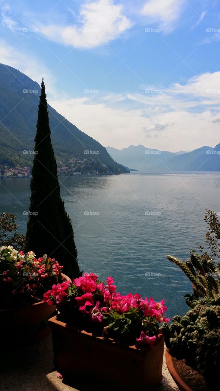 Scenic view of nature