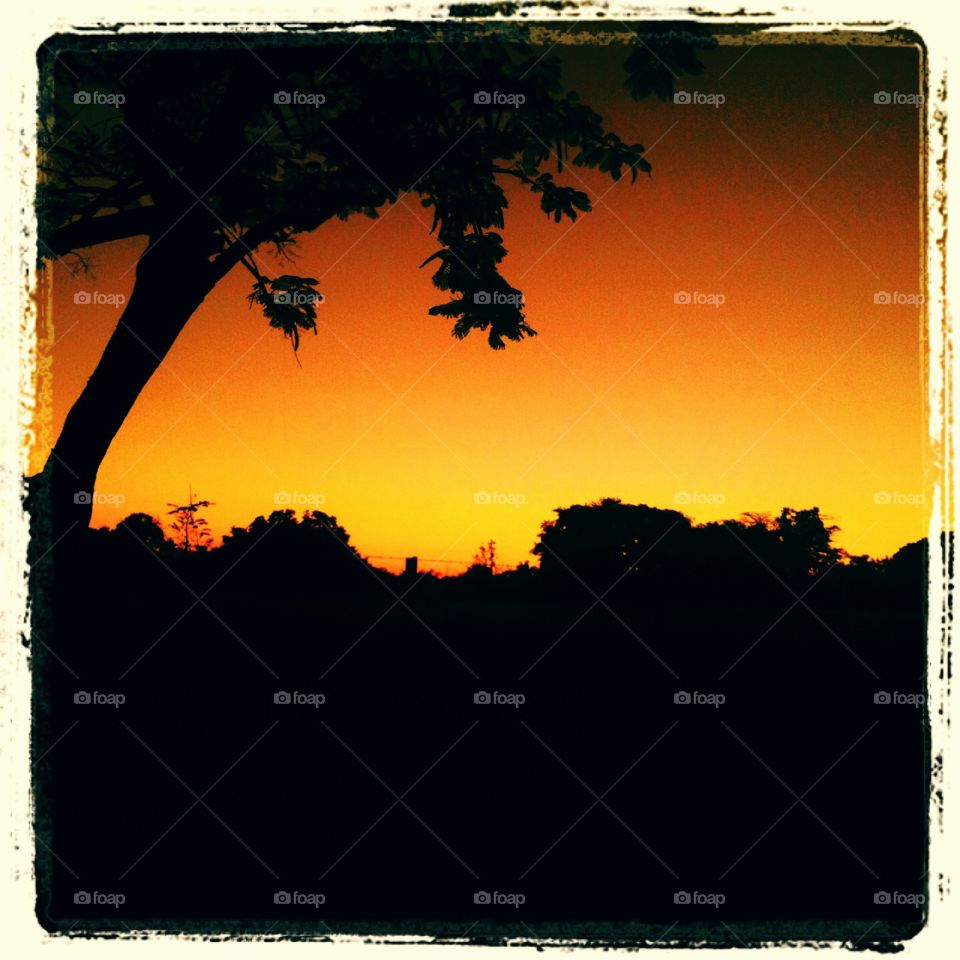 ☀️#Sol muito bonito de #natureza indescritível que vem nascendo.
Como não se inspirar com esse #céu alaranjado?
🌱
#inspiração
#amanhecer
#morning
#fotografia
#paisagem