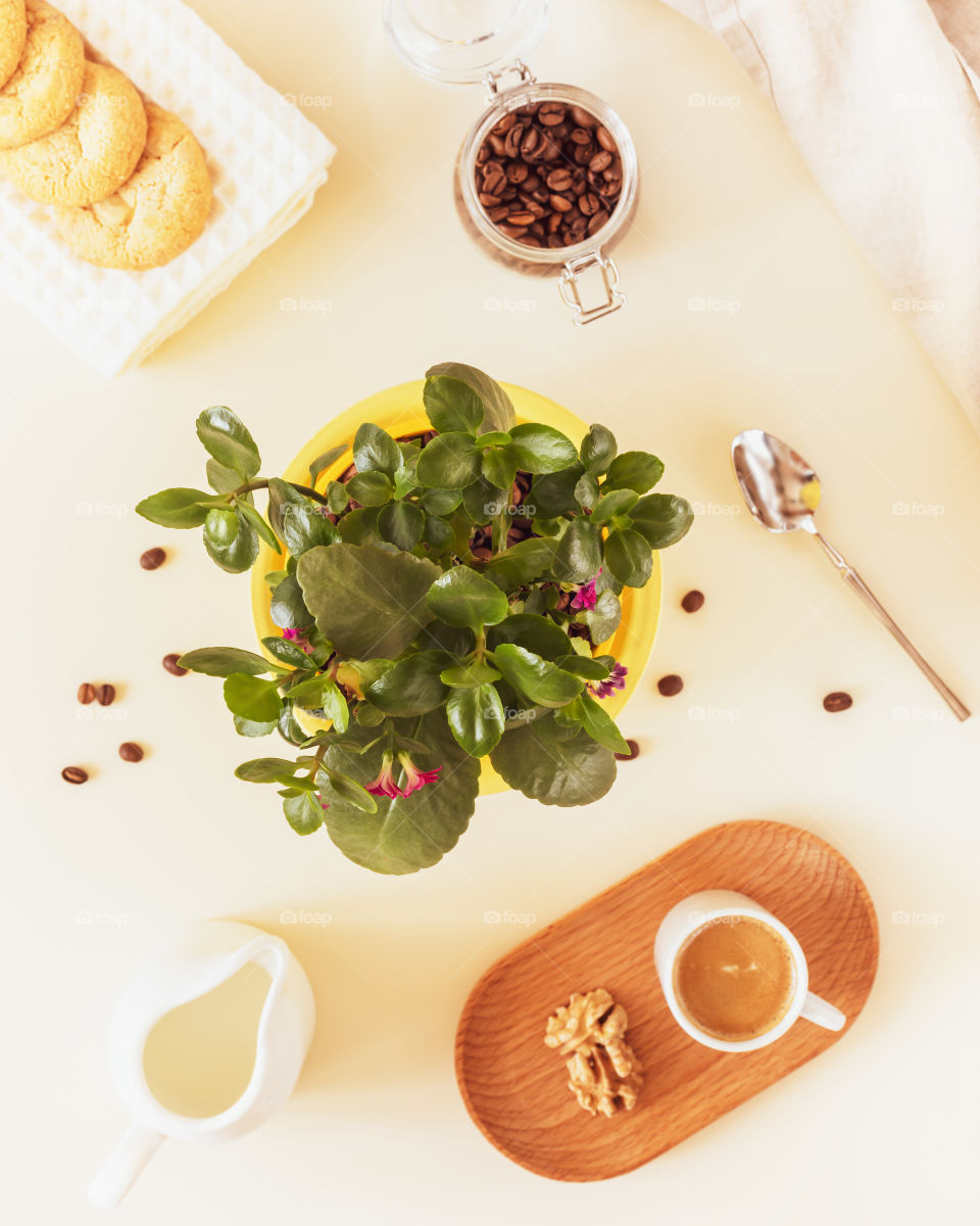 Morning composition with a kalanchoe flower, a cup of coffee and handmade cookies. Breakfast with a houseplant and a cup of espresso. Plant parent concept, relaxing at home, handmade low carb baking