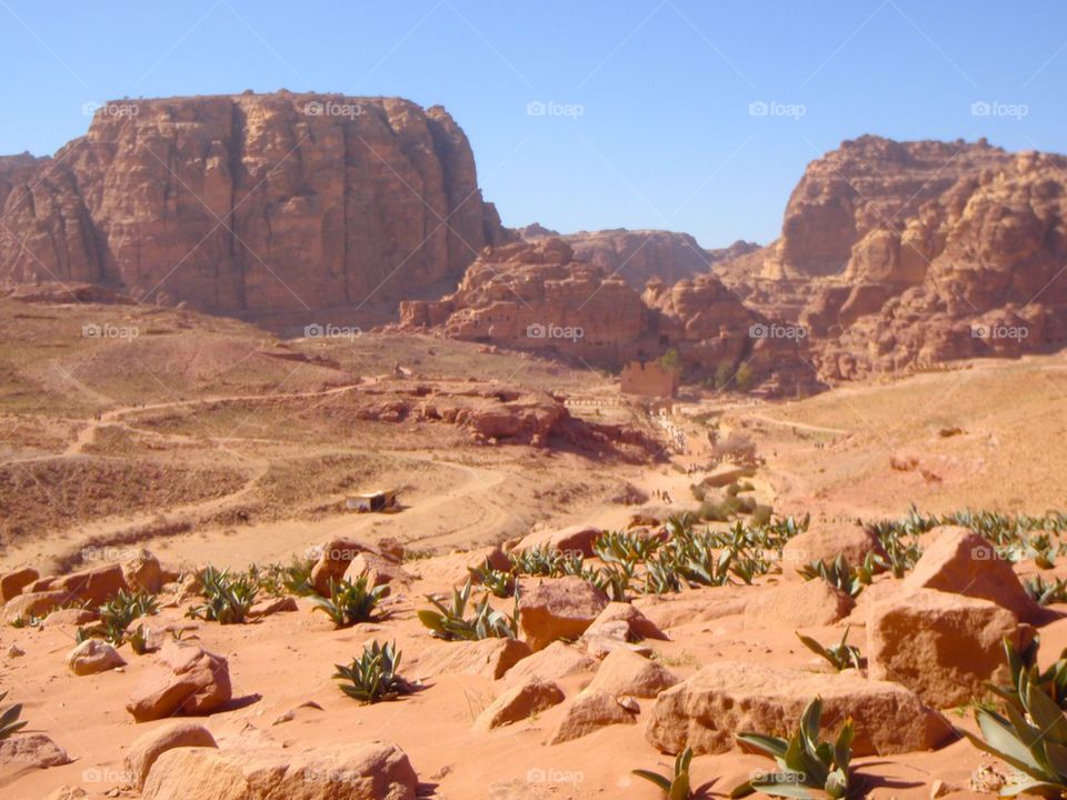 Jordanian desert 