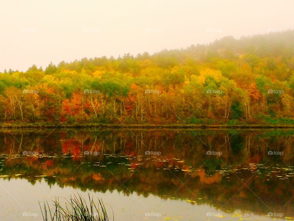 Acadia National Park