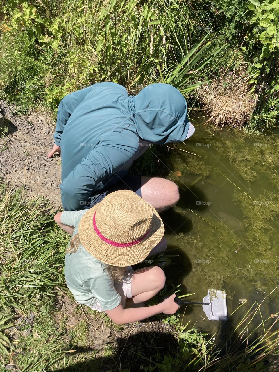 Catching minnows with dad