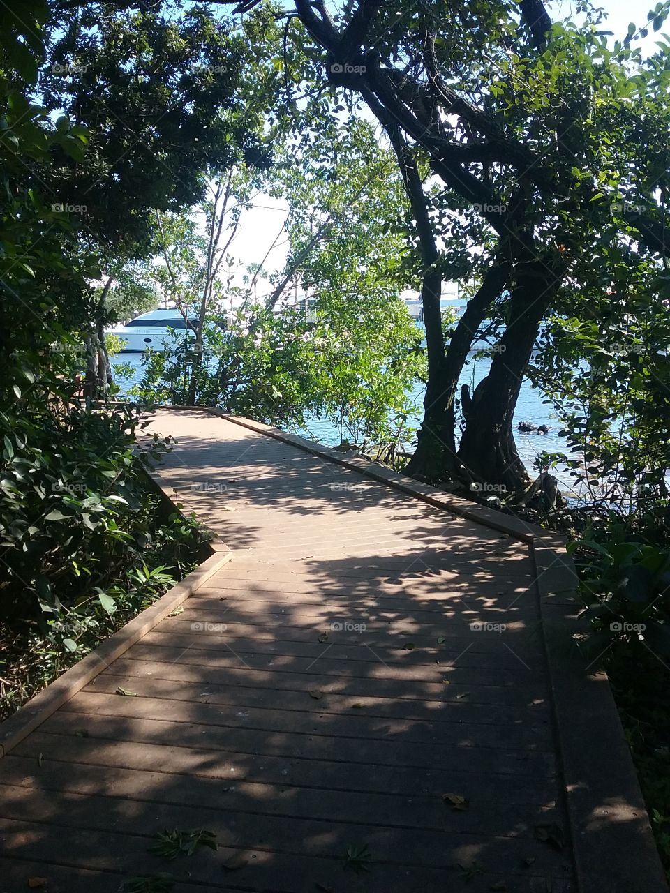 Path by the water