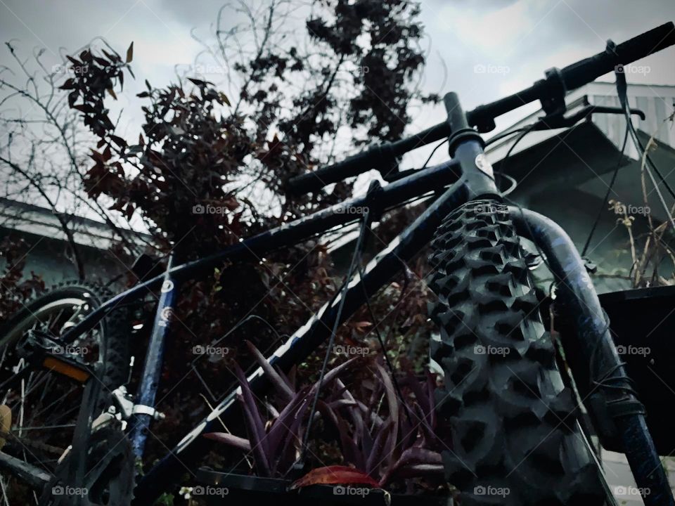 A Lonely Bicycle At Night Forgotten But Standing In The Midst Of Branches And Plants In The Grass.