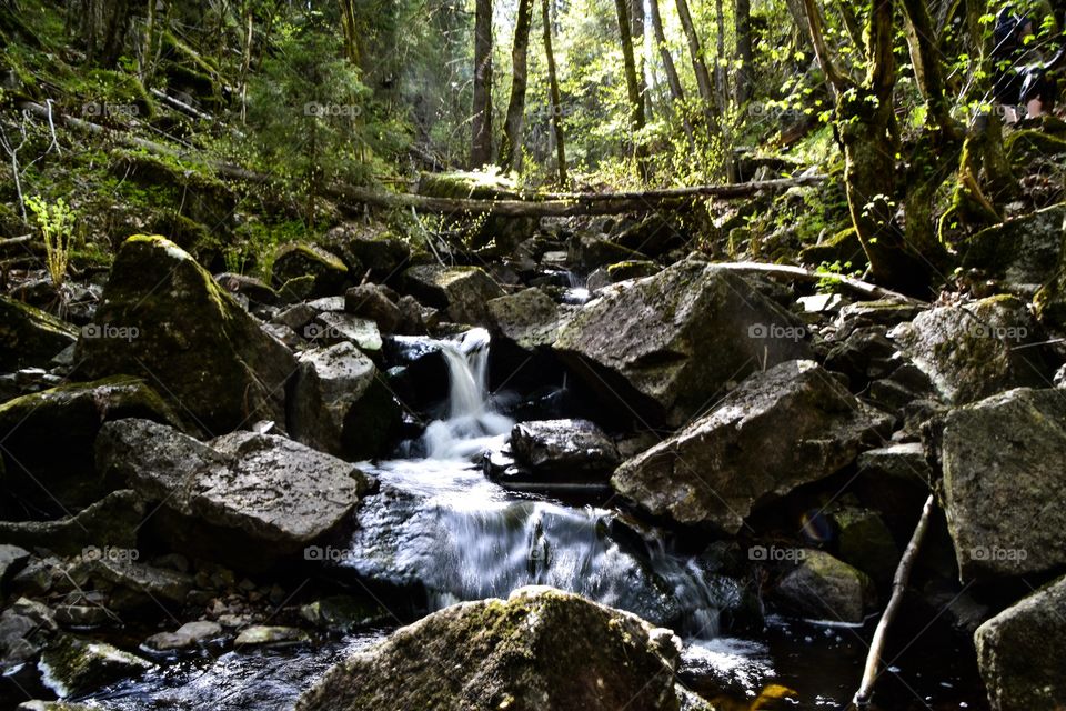 Small river in the Norwegian woods