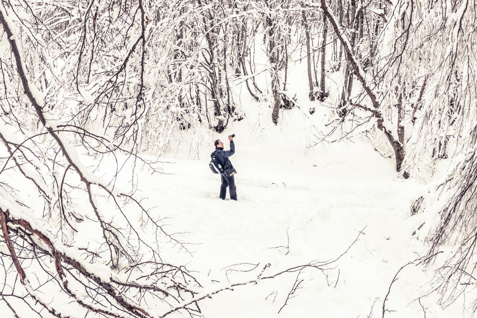 Man With A DSLR Camera In A Snowy Forest Landscape With Trees
