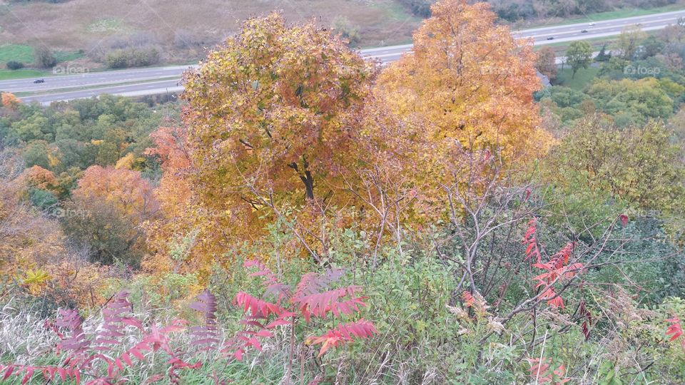 Highway in Autumn