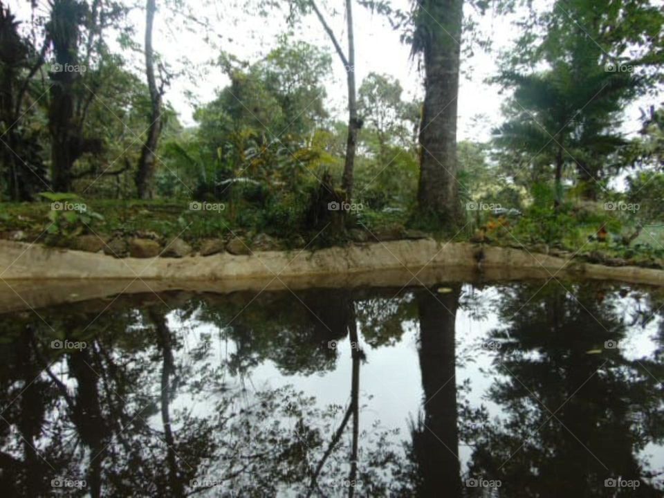 reflection in the lake
