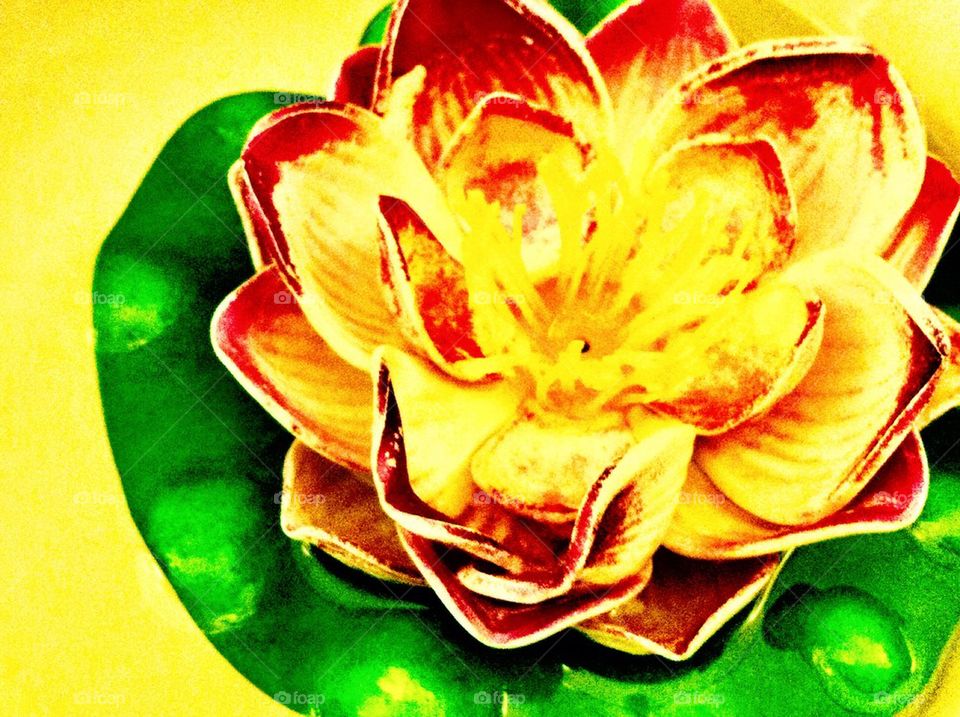 Lotus flower ceramic in restroom