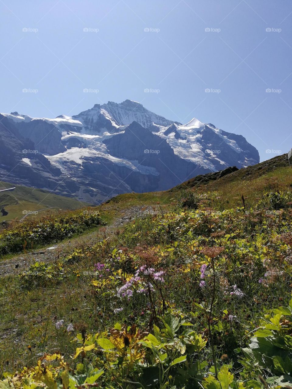 Jungfrau, Switzerland