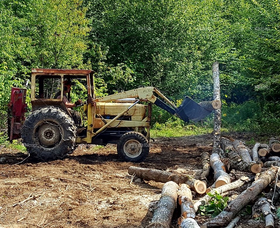 A Maine logger at work, moving huge logs