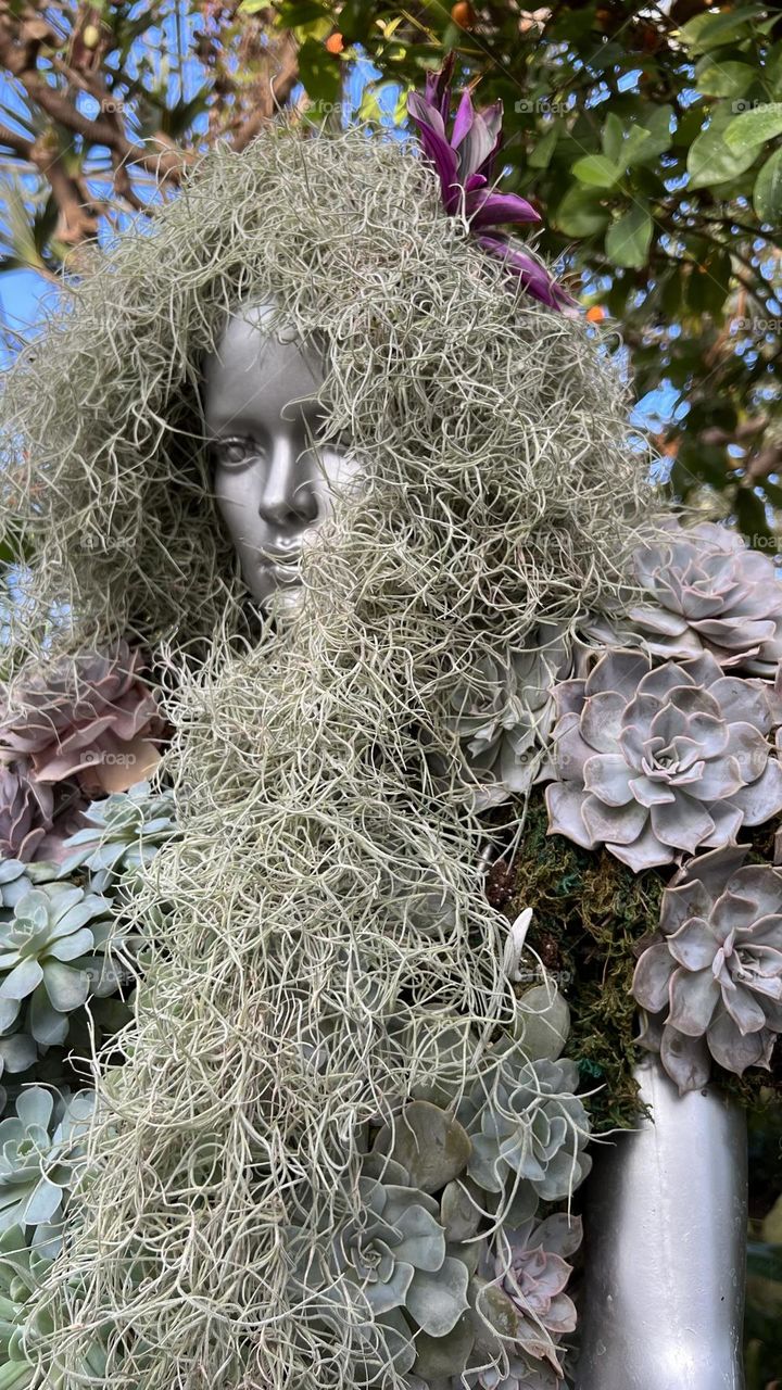 Plants on Urban lady