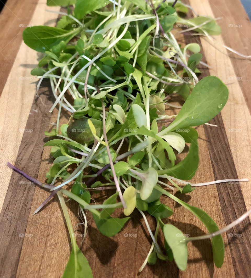 Micro greens